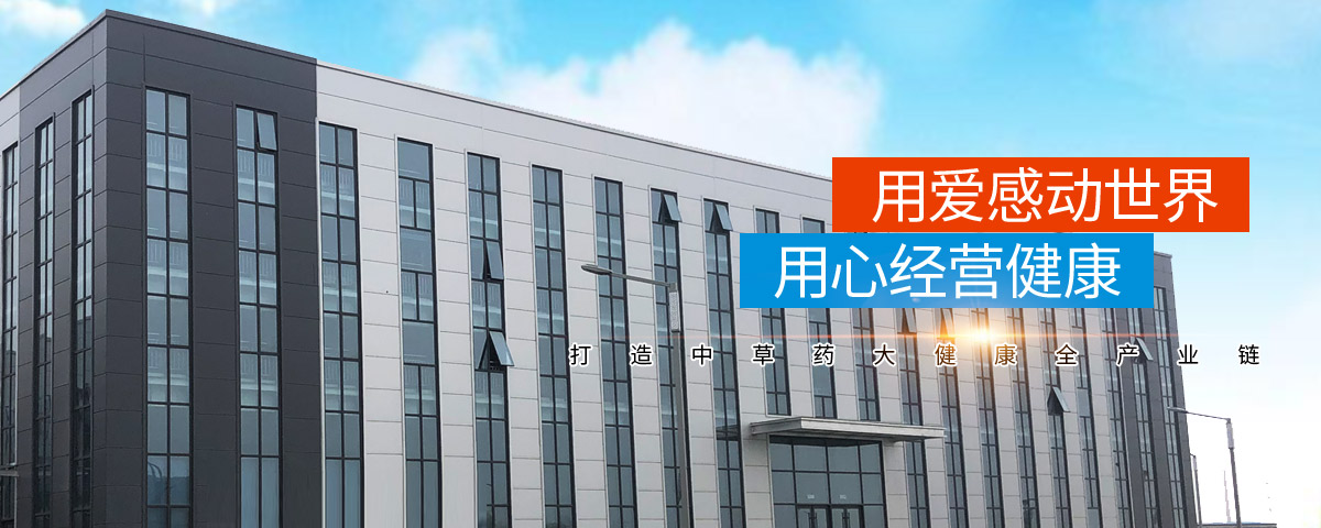 河南正高药业有限公司