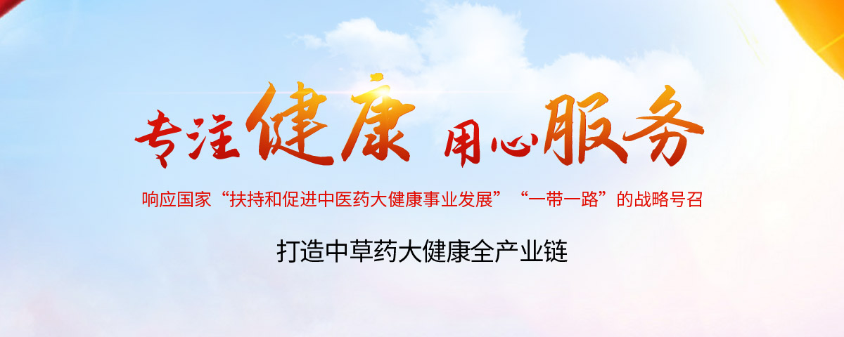 河南正高药业有限公司