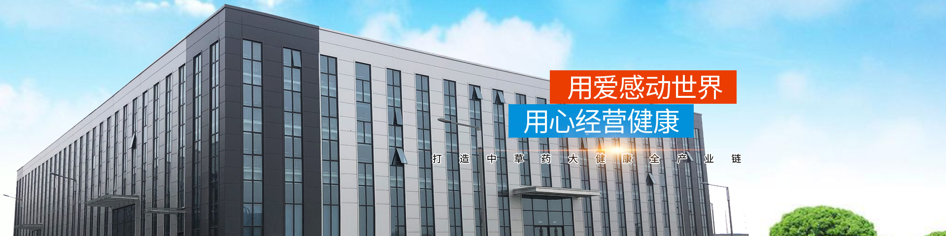 河南正高药业有限公司