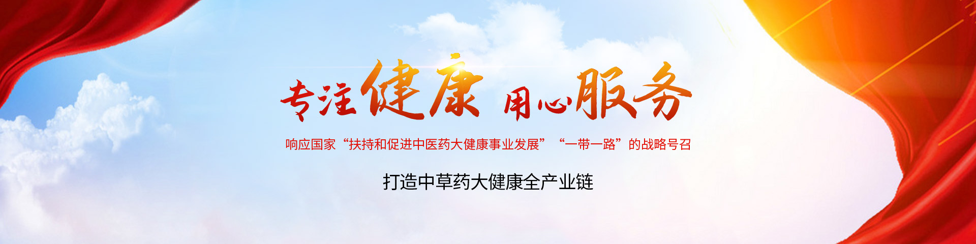 河南正高药业有限公司