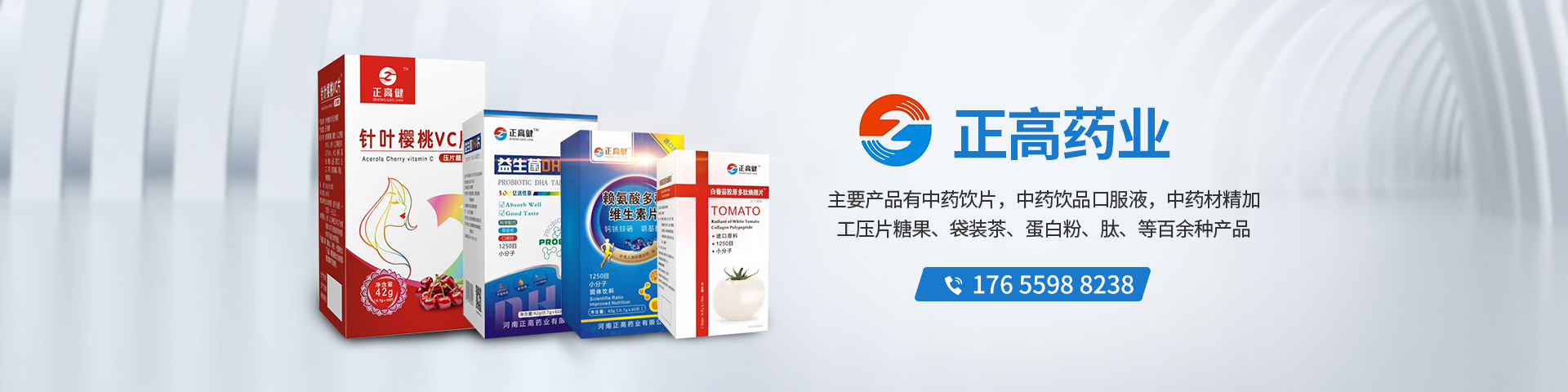 河南正高药业有限公司